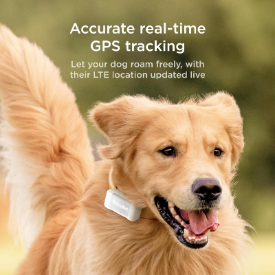 Petcube GPS Tracker Dog Collar